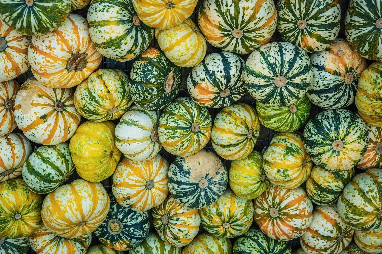 오사카 구로몬 시장 전경 및 신선한 해산물